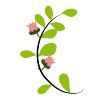 Blüten Blüten