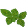 Blatt Blatt