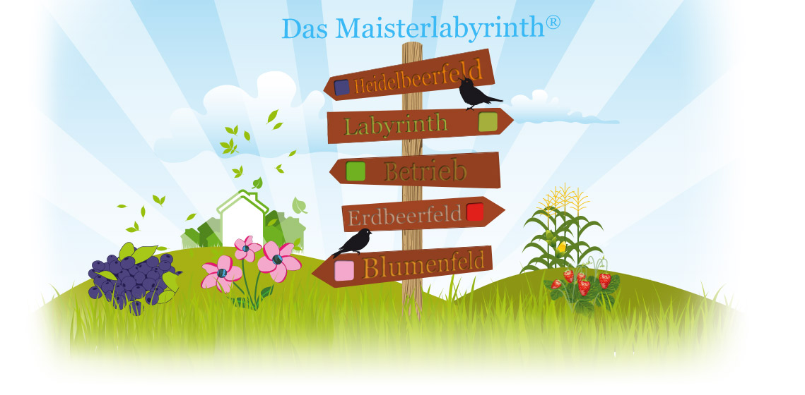 Wegweiser Maisterlabyrinth
