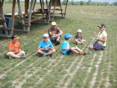 Wiesenpicknick