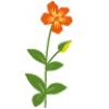 Ernte beginnt